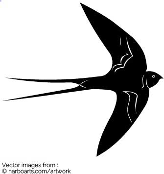 335x355 Download Swallow