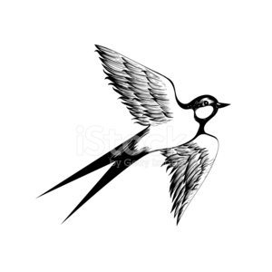 300x300 Hand Drawn Flying Swallow Vector Dood Premium Clipart