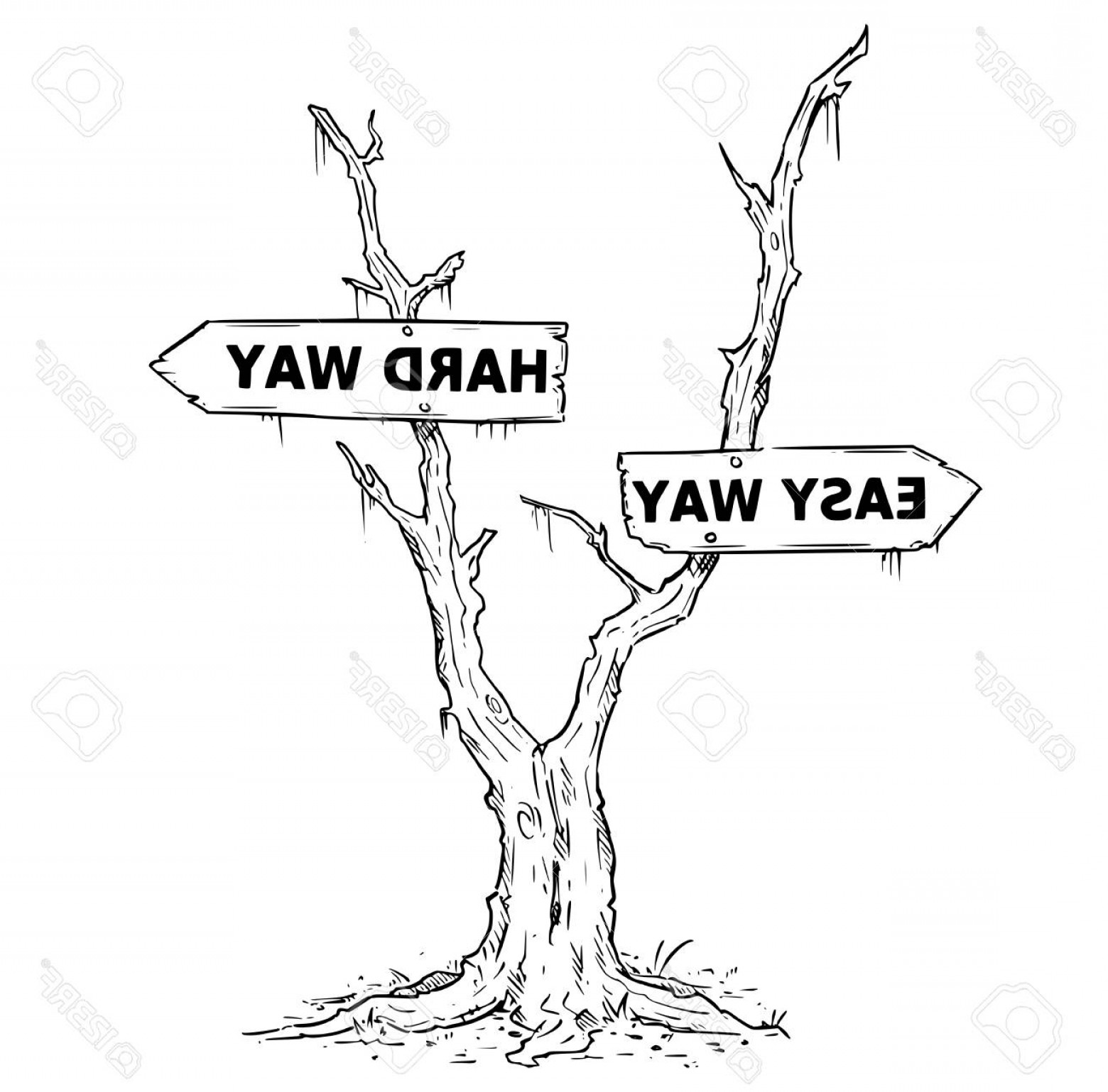 Photostock Vector Vector Drawing Of Dead Swamp Or Desert Tree 1560x1539 Photostock Vector Vector Drawing Of Dead Swamp Or Desert Tree