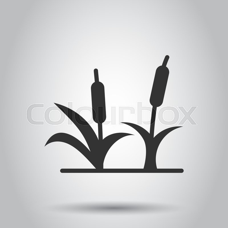 Reeds Grass Icon In Flat Style Stock Vector Colourbox 800x800 Reeds Grass Icon In Flat Style Stock Vector Colourbox