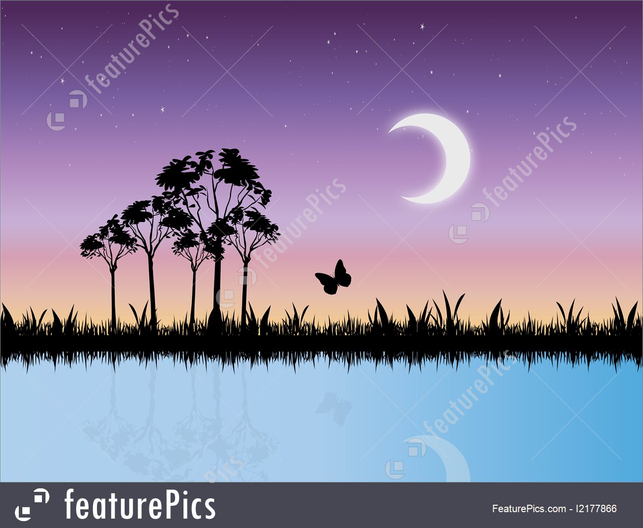Starry Night Scene In Swamp Vector 1300x1067 Starry Night Scene In Swamp Vector