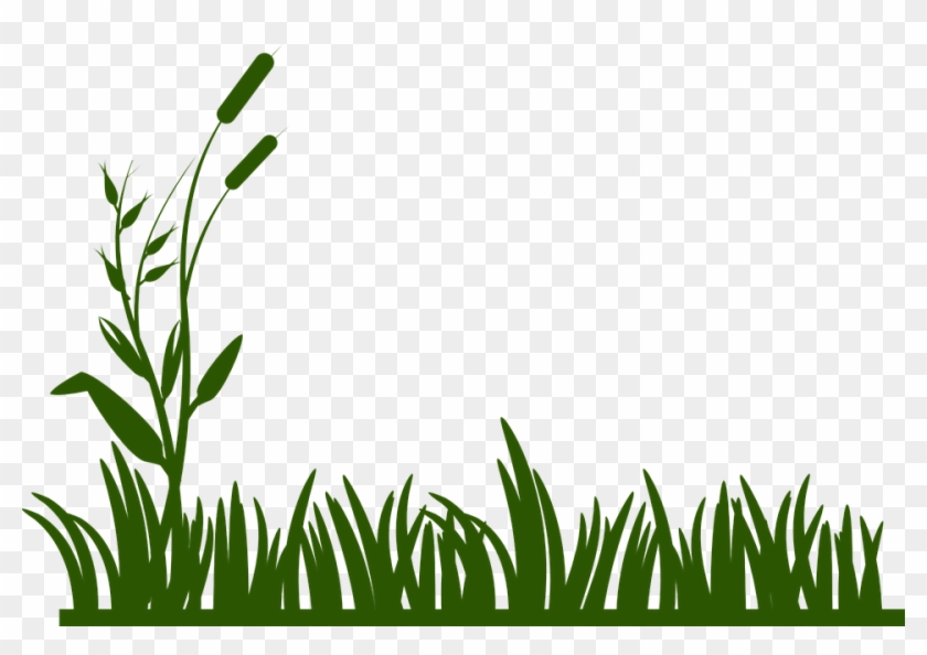 Swamp Clipart Spring 840x594 Swamp Clipart Spring