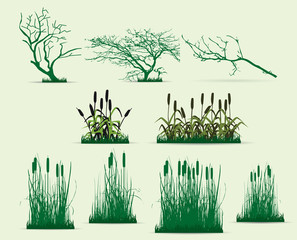 Swamp Vector Photos, Royalty Free Images, Graphics, Vectors 297x240 Swamp Vector Photos, Royalty Free Images, Graphics, Vectors