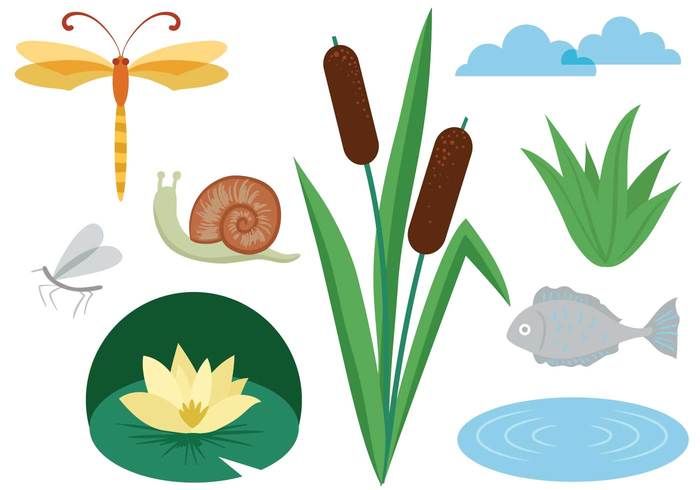 Free Flat Swamp Vectors Flat Vector Art In Graphic Design 700x490 Free Flat Swamp Vectors Flat Vector Art In Graphic Design
