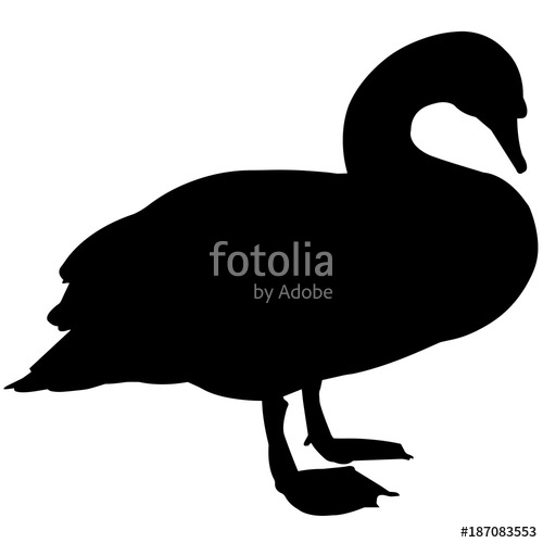 500x500 Swan Silhouette Vector Graphics Stock Image And Royalty Free