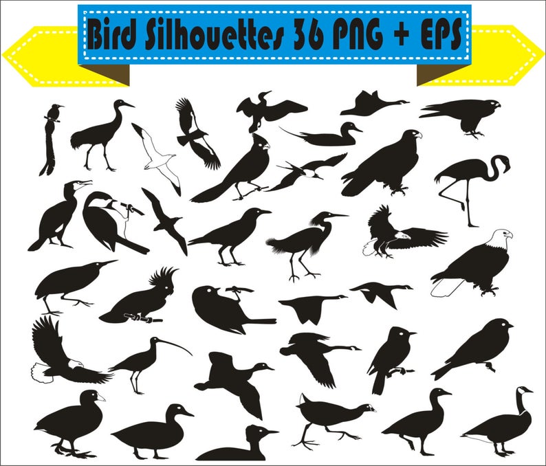794x678 Bird Eagle Howk Duck Flamingo Parrot Swan Silhouette Vector Etsy