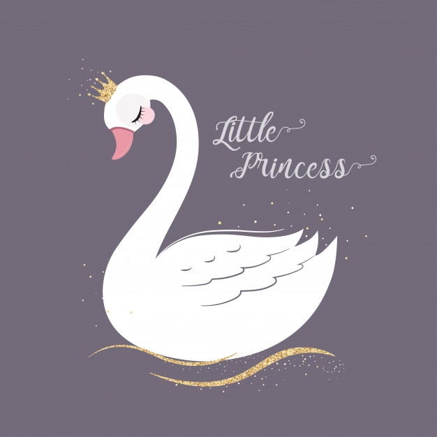 626x626 Swan Vectors, Photos And Free Download