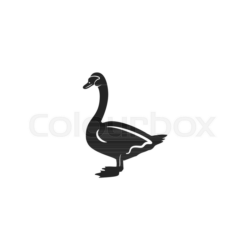 800x800 Swan Silhouette Shape Vintage Hand Stock Vector Colourbox