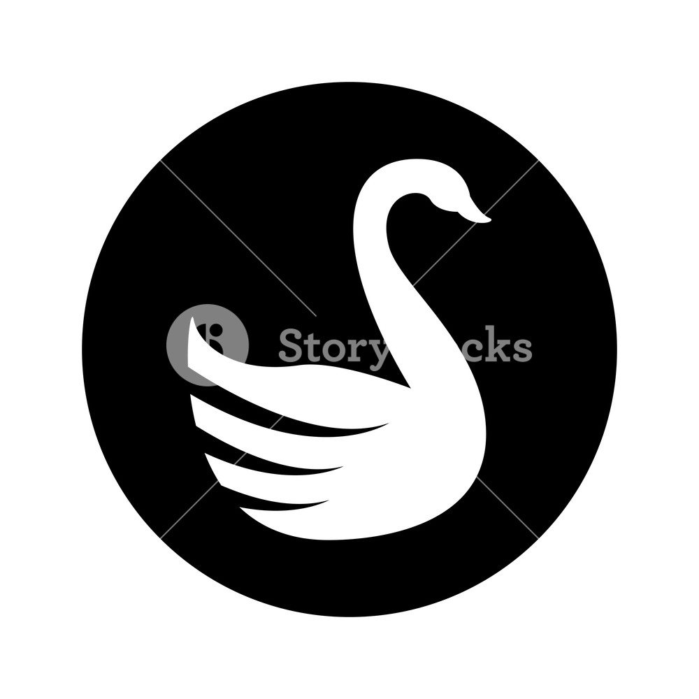 1000x1000 Swan Bird Silhouette Romantic Card Vector Illustration Design