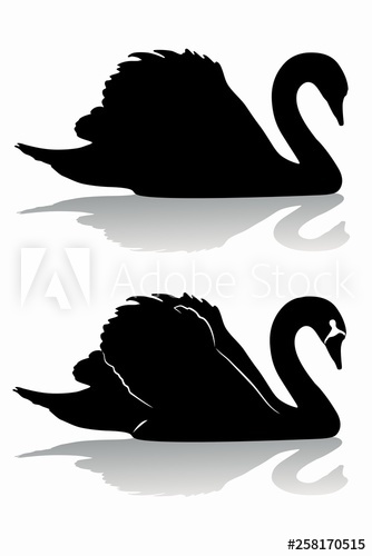 334x500 Swan Silhouette, Vector Draw