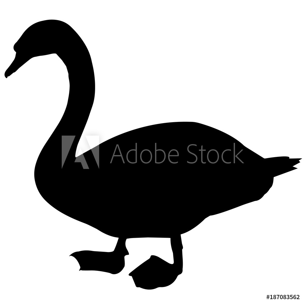 1000x1000 Photo Art Print Swan Silhouette Vector Graphics Europosters
