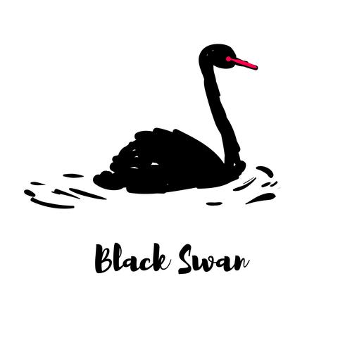 490x490 Silhouette Of A Black Swan