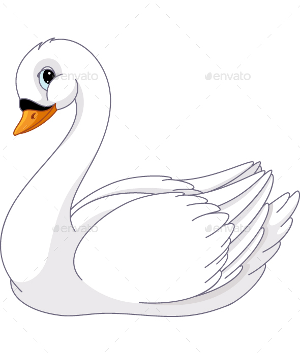 590x700 Swan Vector Graphics, Designs Templates From Graphicriver
