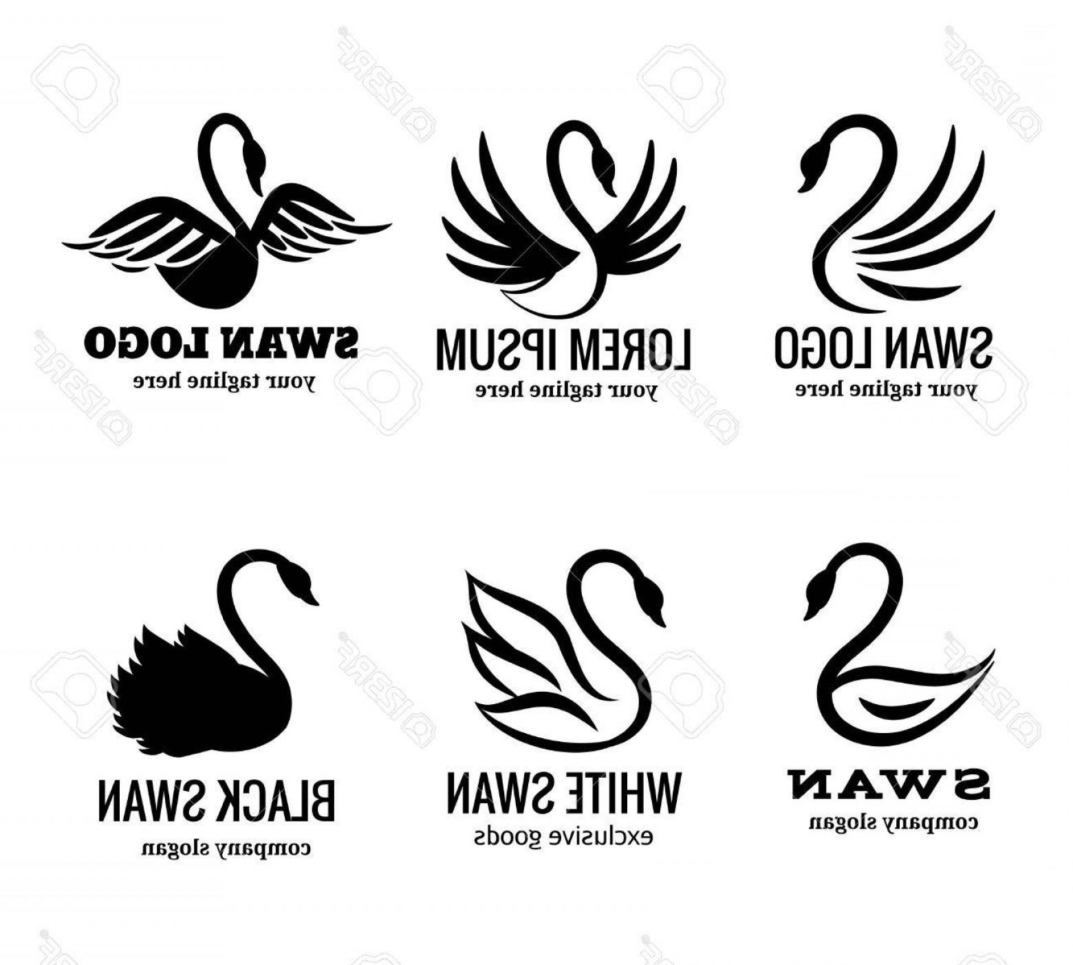 1560x1402 Swan Wings Vector Hoodamathrun