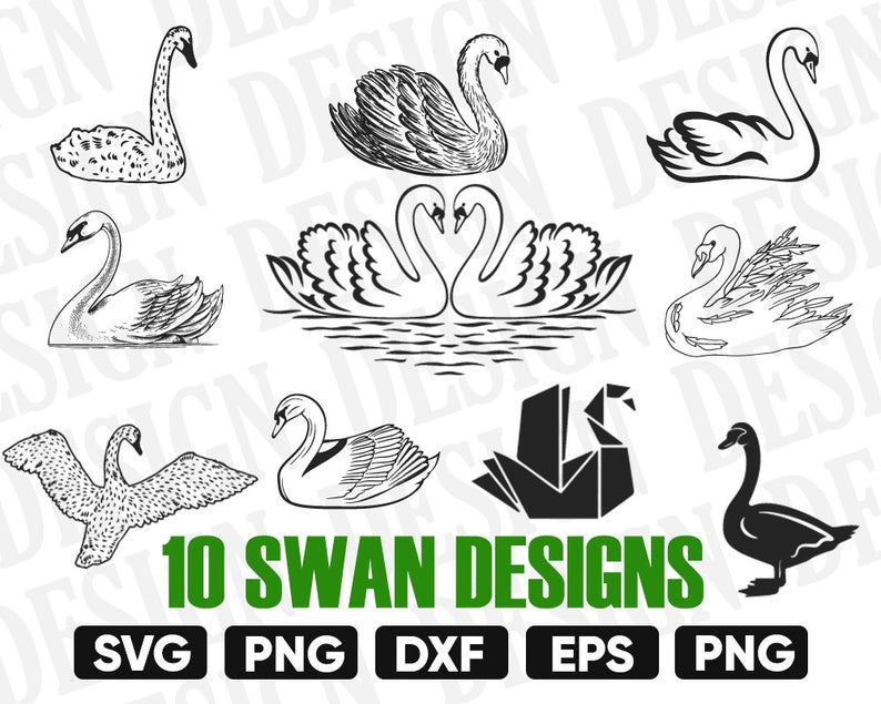 794x635 Swan Swan Vector Swan Clipart Swan Dxf Png Bird Etsy
