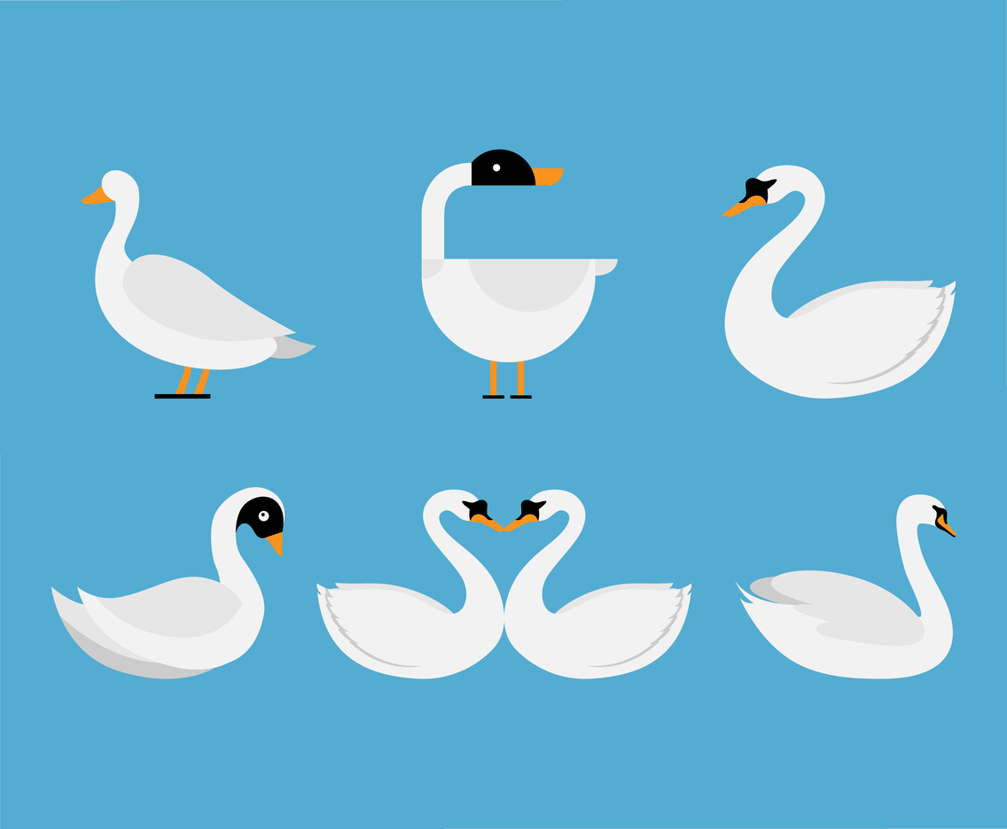 swan illustration free download