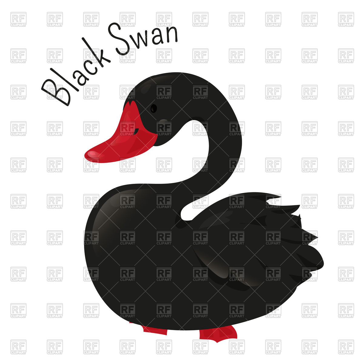 1200x1200 Black Swan Vector Image Of Plants And Animals Kannaa