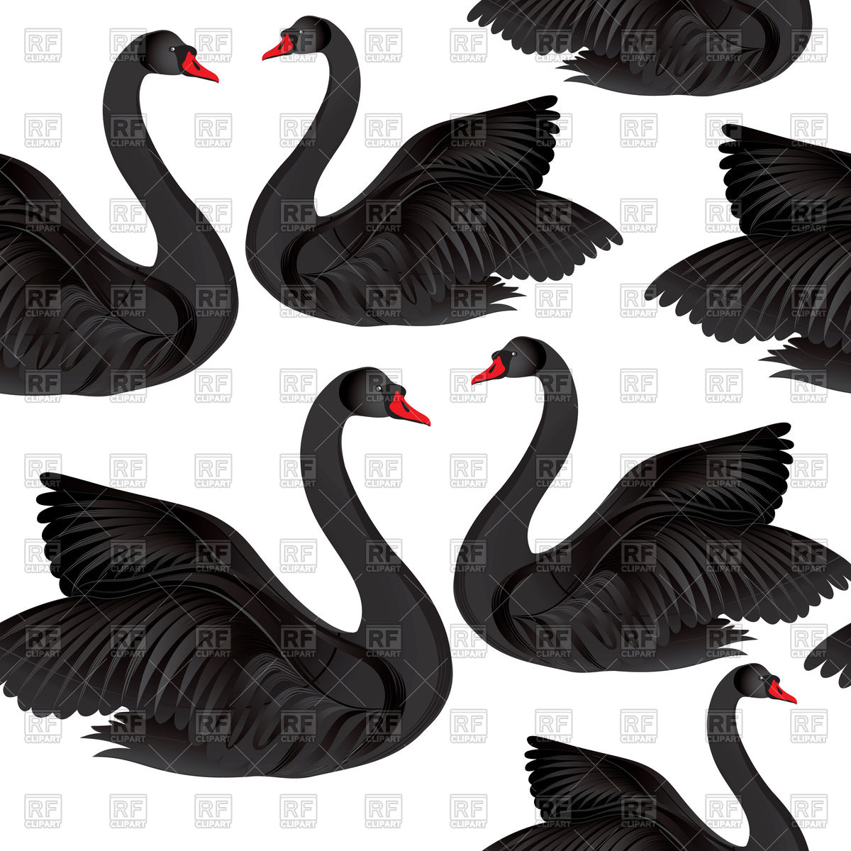 1200x1200 Black Swan Seamless Background Vector Image Of Backgrounds