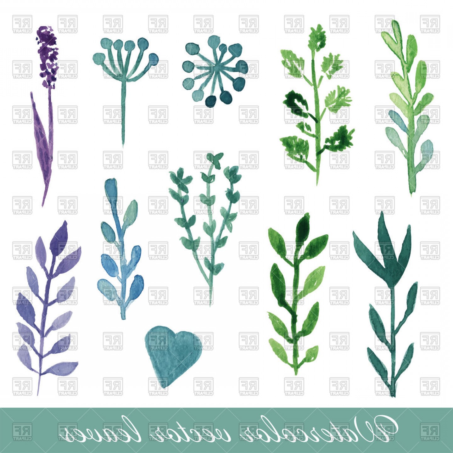 1440x1440 Set Of Watercolor Field Flowers Cornflower Poppy Sweet Pea