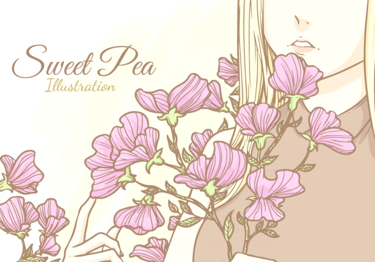 1288x901 Sweet Pea Latest Hd Wallpapers Free Download Wallpapers Ninja