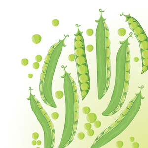 300x300 Sweet Pea Vector Royalty Free Stock Image