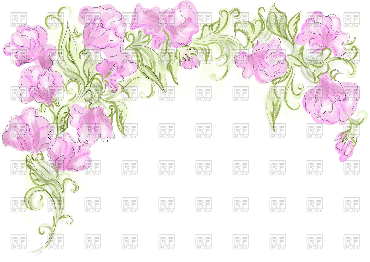 1200x849 Sweet Pea Vector Image Of Plants And Animals Arkela
