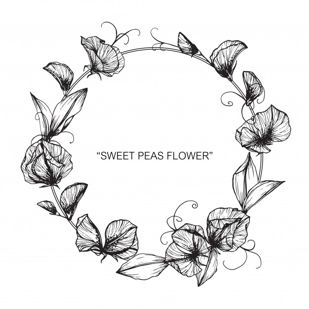 Free Free Sweet Pea Clip Art Svg 336 SVG PNG EPS DXF File