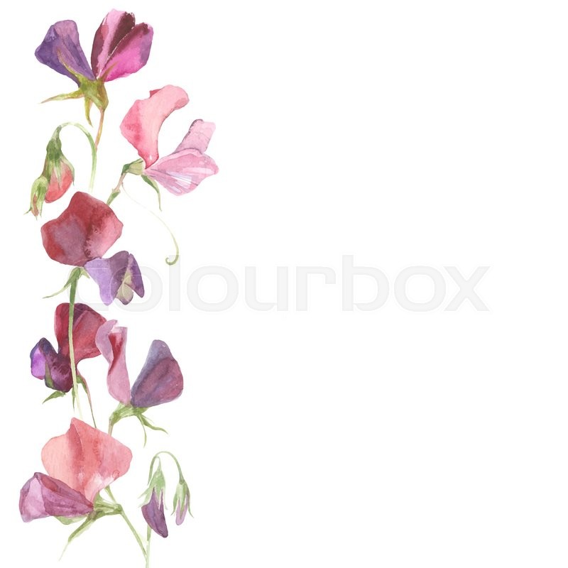 800x800 Vector Background With Watercolor Stock Vector Colourbox