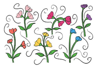 310x217 Free Sweet Pea Vectors Free Graphics Uihere