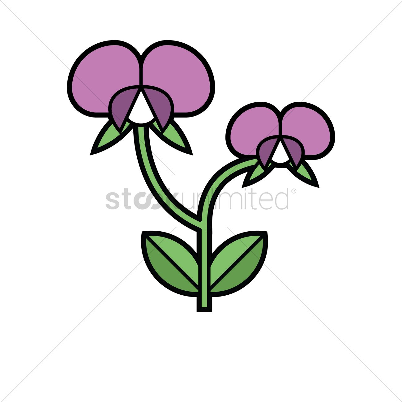 1300x1300 Free Sweet Pea Vector Image