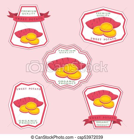 Sweet Potato Vector