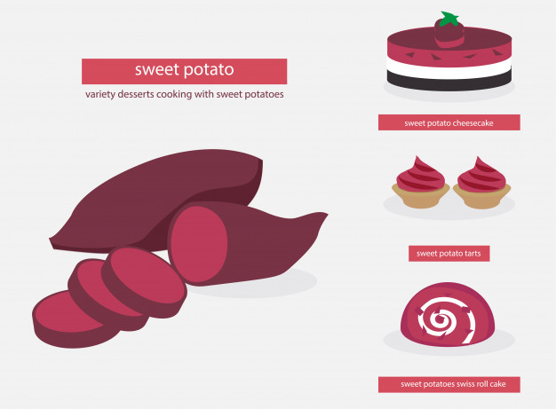 Purple Sweet Potato Vector Premium Download 626x461 Purple Sweet Potato Vector Premium Download
