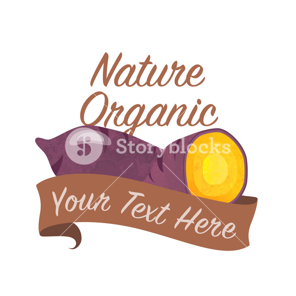 Colorful Watercolor Texture Vector Nature Organic Vegetable Banner 1000x998 Colorful Watercolor Texture Vector Nature Organic Vegetable Banner