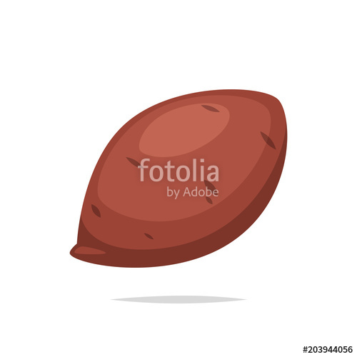 Sweet Potato Vector Isolated Stock Image And Royalty Free Vector 500x500 Sweet Potato Vector Isolated Stock Image And Royalty Free Vector