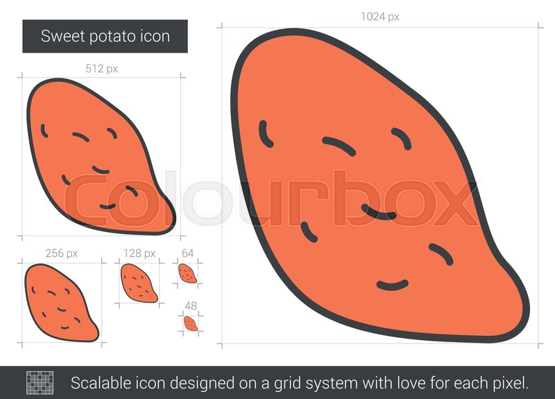 Sweet Potato Vector Line Icon Isolated Stock Vector Colourbox 800x576 Sweet Potato Vector Line Icon Isolated Stock Vector Colourbox