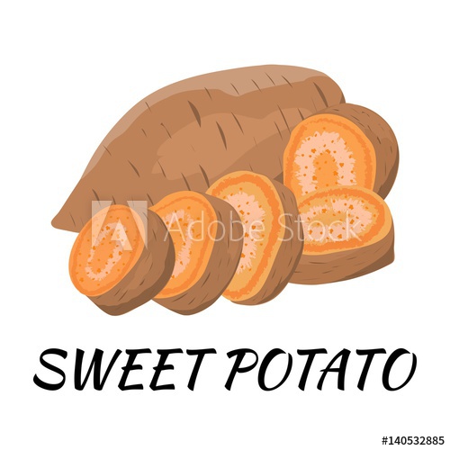 Sweet Potato Flat Design Vector Illustration Ripe Vegetable 500x500 Sweet Potato Flat Design Vector Illustration Ripe Vegetable