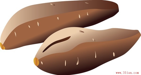 Sweet Potatoes Vector Free Vector In Adobe Illustrator 600x321 Sweet Potatoes Vector Free Vector In Adobe Illustrator