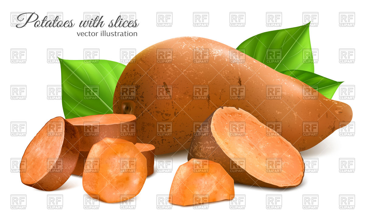 Sweet Potatoes With Slices And Leaves Vector Image Of Food 1200x717 Sweet Potatoes With Slices And Leaves Vector Image Of Food
