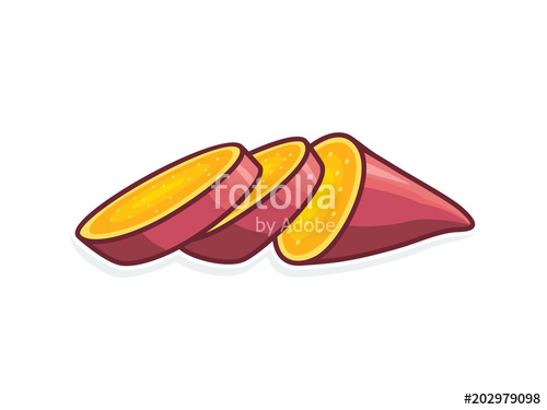 Sweet Potato Vector Illustration Stock Image And Royalty Free 500x375 Sweet Potato Vector Illustration Stock Image And Royalty Free