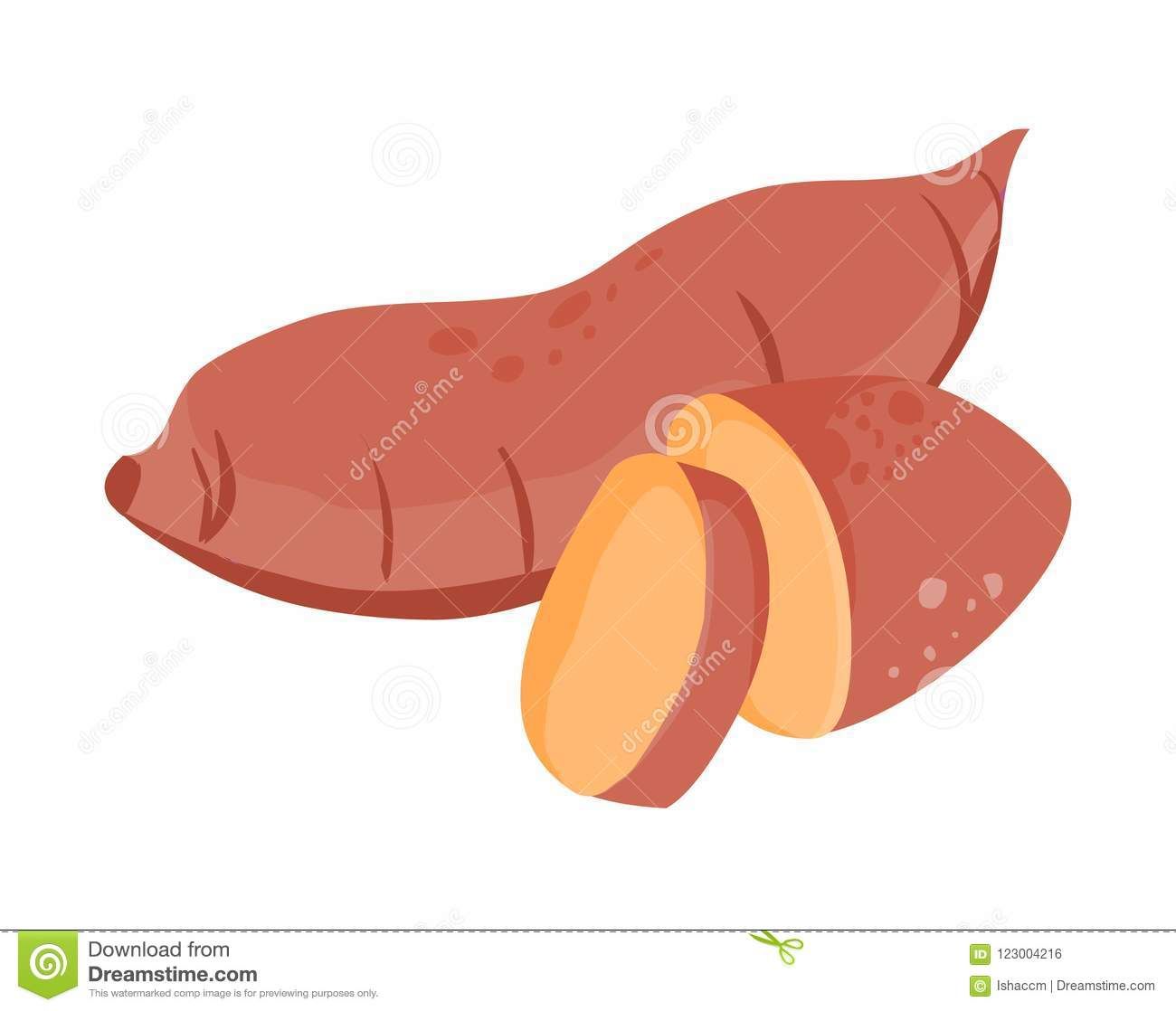 1300x1118 Illustration About Sweet Potato Vector Sweet Potato Illustration