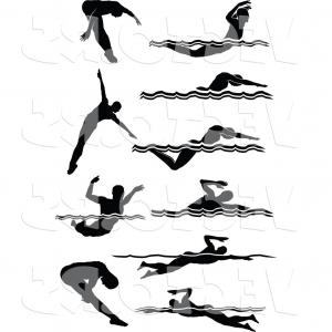 300x300 Vector Of Unique Male Swimmers Silhouette