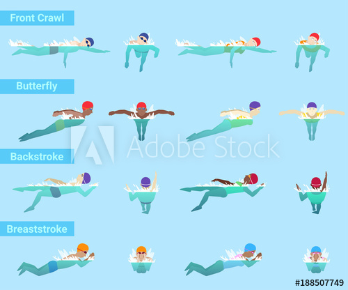 500x416 Swimming Vector Swimmer Sportsman Swims In Swimsuit