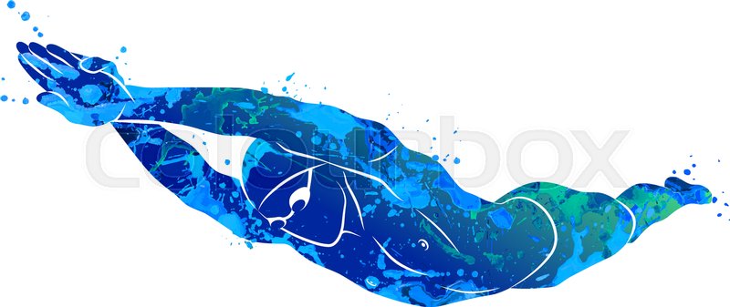 800x337 A Swimmer Dives Into The Water From Stock Vector Colourbox