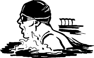 Swim Vector Graphics For Free Download Free Vector 310x194 Swim Vector Graphics For Free Download Free Vector