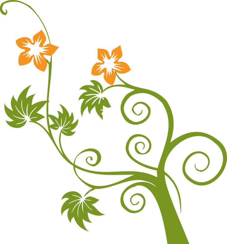 729x786 Flowers And Swirls Graphic
