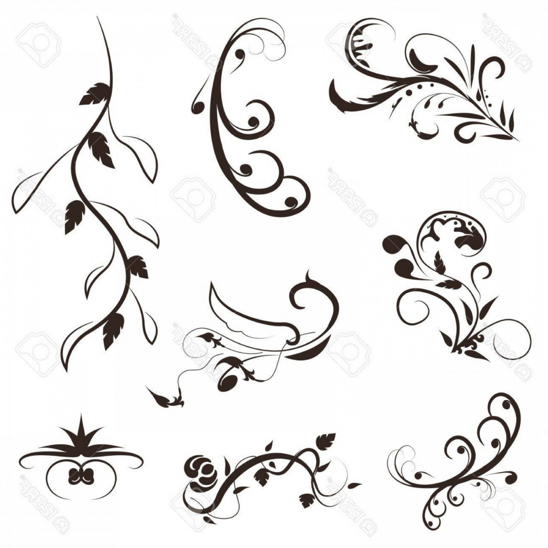 Photostock Vector Flower And Leaves Vector Swirl Line Design 2246x2246 Photostock Vector Flower And Leaves Vector Swirl Line Design