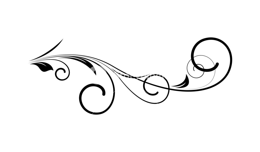Swirl Elements Vector Art Royalty Free Stock Image 1000x584 Swirl Elements Vector Art Royalty Free Stock Image