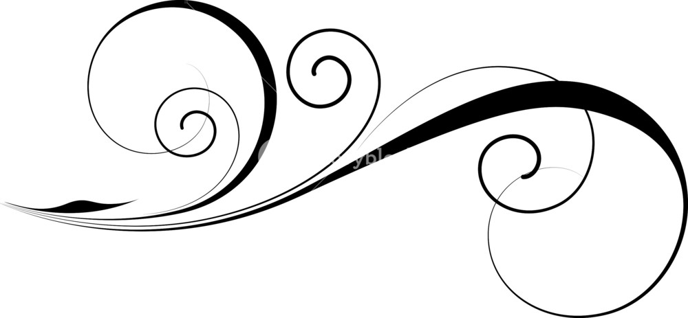 Decorative Swirl Vector Royalty Free Stock Image 1000x463 Decorative Swirl Vector Royalty Free Stock Image