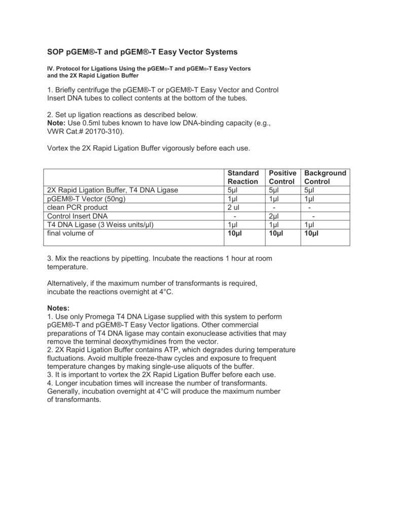791x1024 Sop T And T Easy Vector Systems