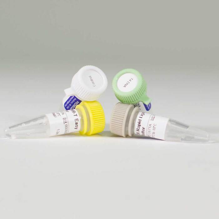 700x700 Pgem T Easy Vector System I Mybio Ireland